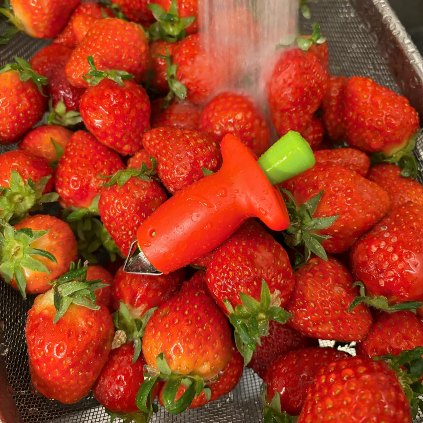 🍓나의 첫 딸기쨈🍯
난 왜 처음 만들어 보면서
4팩이나 다 쏟아 부었을까...🥹
아무리 저어도 양이 안 줄어서 힘겨웠지만
그래도 나름.... 성공🐥
(중간에 남편이 의자도 가져다 주고😎)
이걸로 빵도 발라먹고 딸기라떼 딸기에이드 다 먹어줄게🍓