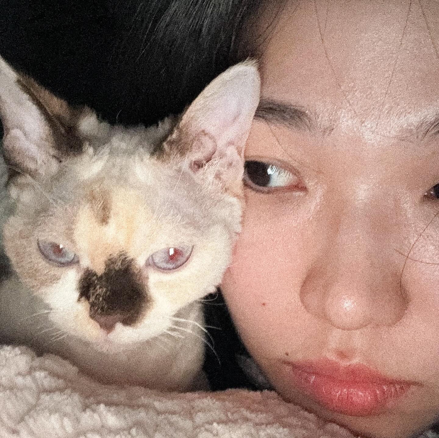 우당탕탕 탕탕