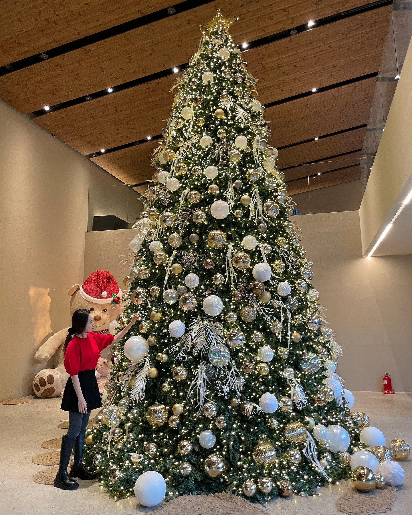 🎄💕

Merry Christmas🎅🏼🦌🛷