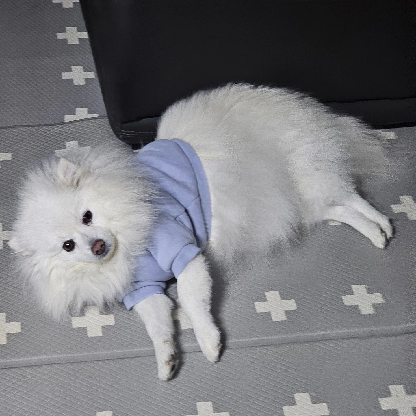 체다야 우리 친해지자