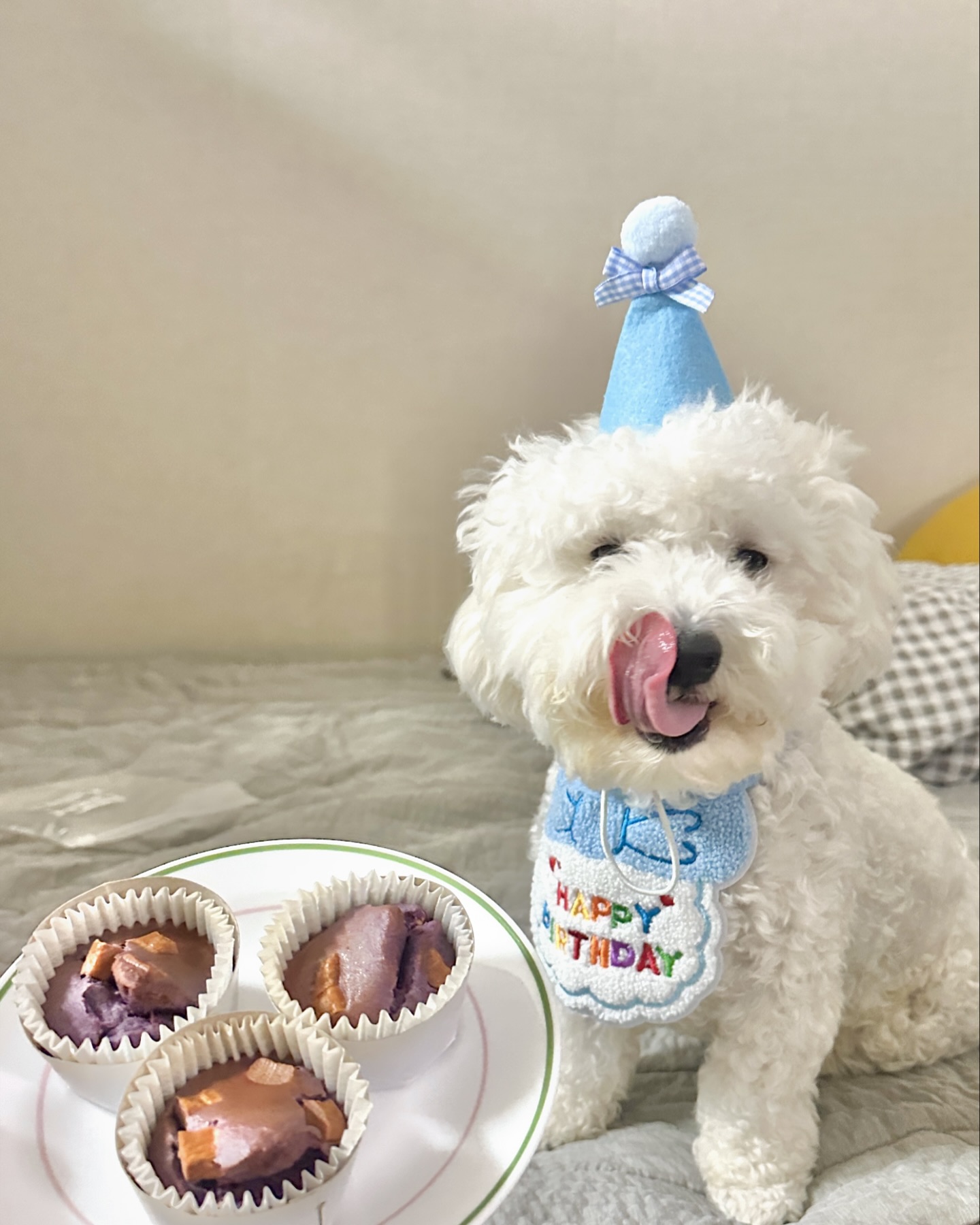 꿈이 첫생일이었오
축하해줘😘🥳👏🏻🎉🎂🙌🏻🎊
누나랑 형아가 머핀 만들어줬는데
안주고 사진만 찍어서 살짝 언짢았지만
아주 맛있었다!🧁