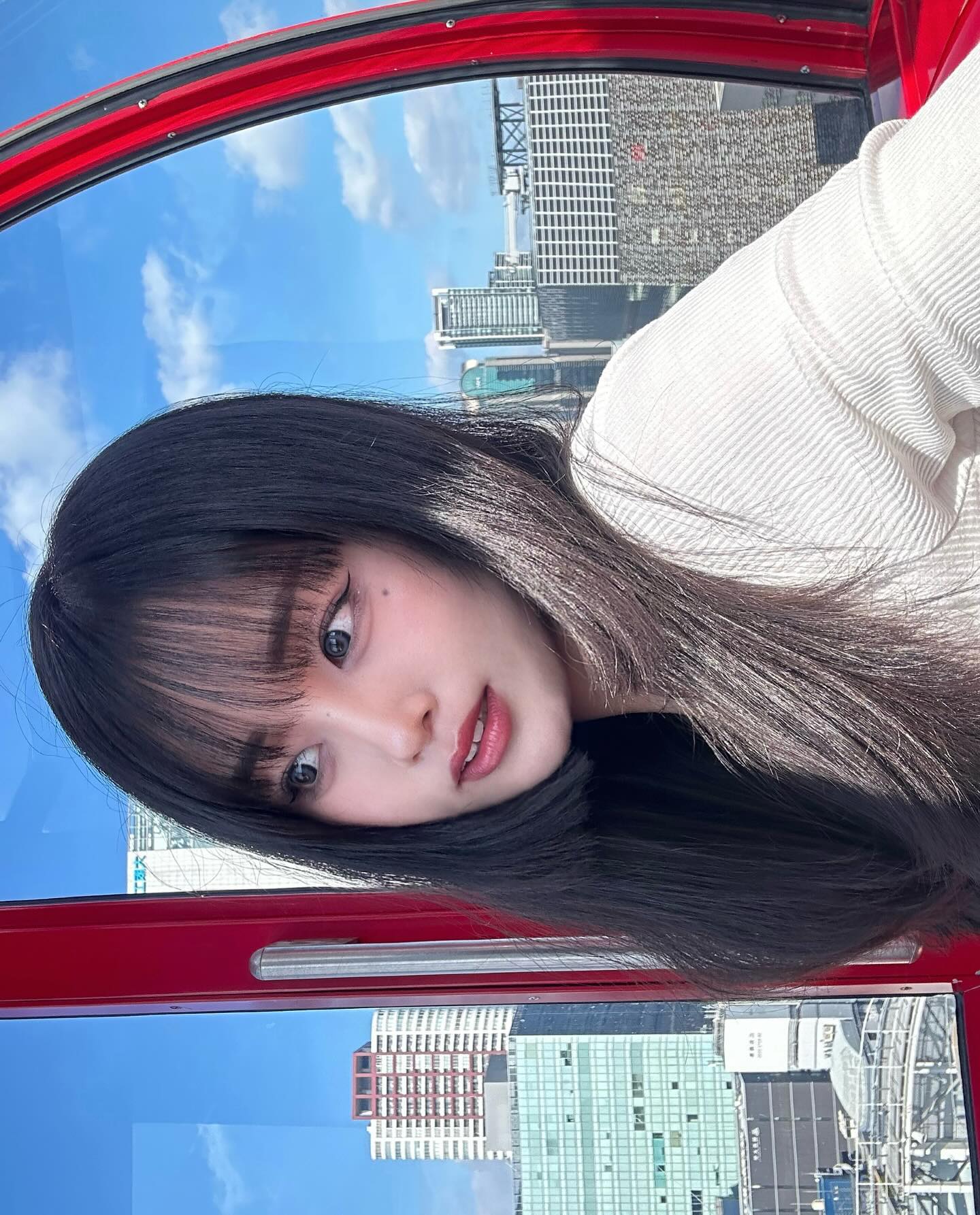 🎡