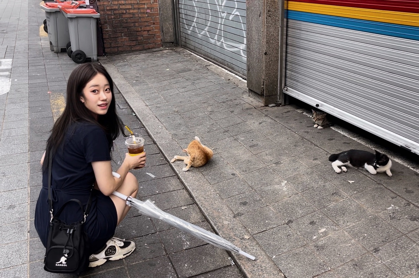 🐈