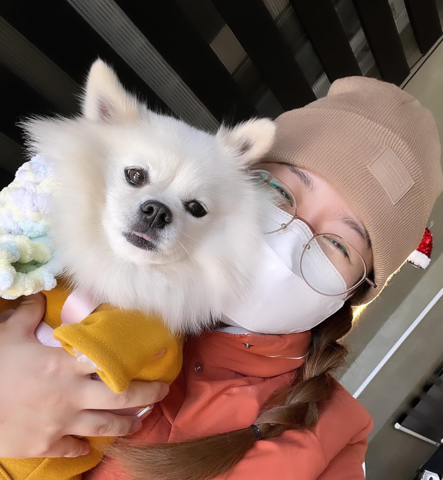주말엔 눈누랑 데이트💖💖
눈누랑 카페에 왔는데 무서워서 
엄마 팔을 꽉 움켜져요😍😍
#귀여운겁쟁이 

👍🏻👍🏻남편 산책시간 만들어줘서 고마워 🙏🏻🙏🏻

#주말이기다려지는이유 #애개육아 #애개육아일상 
기회 되면 눈누랑 더 열심히 시간보내기
#산책 잘 못나가니까 더 ㅋㅋ 나가고 싶은
이상한 사람의 심리 🥶🥶 
그전엔 가끔은 산책가는게 귀찮을 때도 있었는데.. 
얼굴에 피날 것 같이 바람이 매서워도 
눈누랑 산책하는게 새삼 좋고 행복해요🥹
요즘 들어 눈누가 애교도 참 많아졌어요! 💖
3주 떨어져 있다가 엄빠랑 같이있으니 
눈누도 좋은가봐요🧡🧡🧡
잠을 못자서 #애개육아 쉽진 않치만,
귀여운 아가 귀여운 우리눈누 
얼굴보면, 또 이겨내 지는 🥹🥹
#애개육아맘 모두 #화이팅💪 

#폼피츠 #폼피츠눈누 #폼피츠스타그램 #댕팔맞팔환영 #멍팔맞팔 #귀여운강아지 #댕댕이