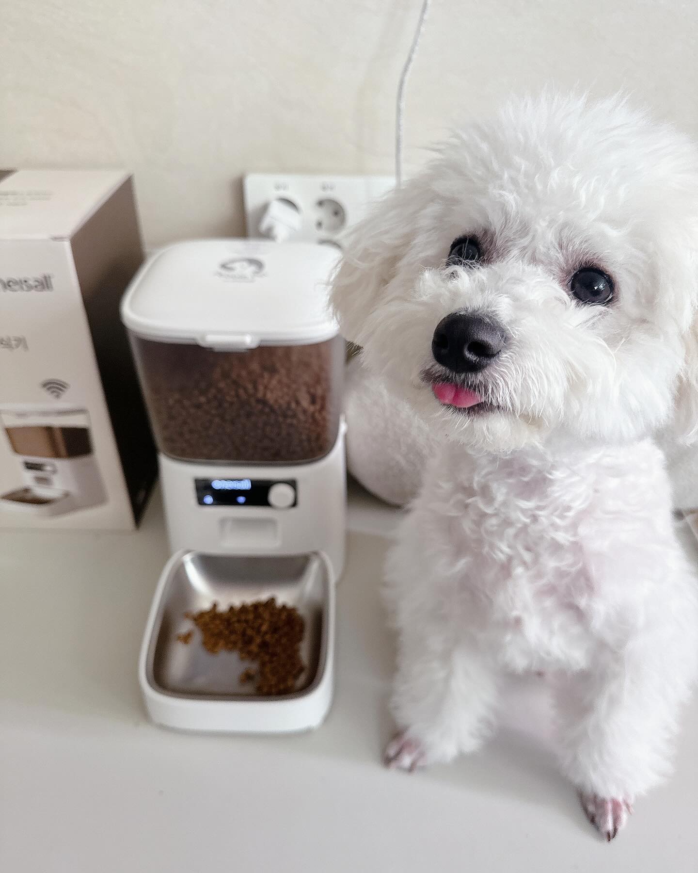#협찬 우리 열무 요즘 핫한 자동급식기 
사용하고 있어요🐶 
바로, 페블펫 스마트 자동급식기인데요! 

✅어플로 연동 가능한 스마트 원격 급여로 외출해서도 챙겨주기 쉬워요 
✅위생적인 스테인리스 식기를 사용하구요 
✅반투명 소재로 잔여사료 확인 용이한 
3.5L 사료통으로 관리도 쉬워요 
✅편리한 분리세척으로 위생적인 사용이 가능하며 
✅사료통 뚜껑에 제습제가 들어있어 눅눅하지 않은 사료 급식이 가능해서 좋아요😍 

이렇게 편리한 자동 급식기를 왜 이제서야 알았냐며~진짜 편해서 앞으로도 잘 사용할 것 같아요🐶👍 

pebblepet_official #급식기 #강아지급식기 
#고양이급식기 #애견급식기 #자동급식기 #페블펫 #분리세척