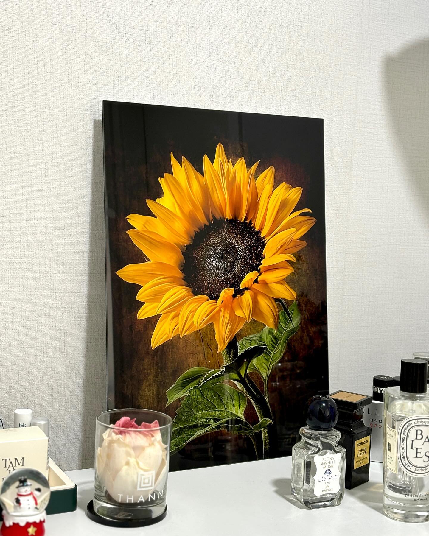 해바라기가 금전운에 좋다던데🌻