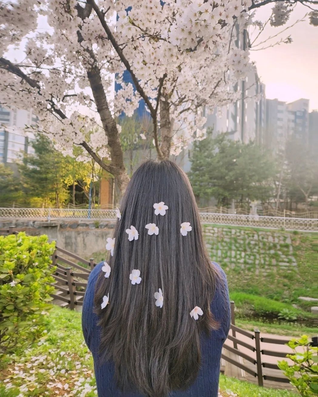.
 ⠀ 
누가 꽃이게? 🌸😉
 ⠀ ⠀ 
 ⠀ ⠀ 
 ⠀ 
 ⠀ 
 ⠀ 
 ⠀ 

#일상 #daily #instadaily #일상스타그램 #일상그램 #데일리그램 #오늘 #데일리 #인친 #예쁘다그램 #바쁜일상 #소통그램 #소통해요#소통환영 #소통 #좋아요 #선팔 #선팔하면맞팔 #맞팔해요 #팔로미 #follow4follow #친스타그램 #선팔하면맞팔가요 #like4like#벚꽃#벚꽃길#집앞벚꽃길