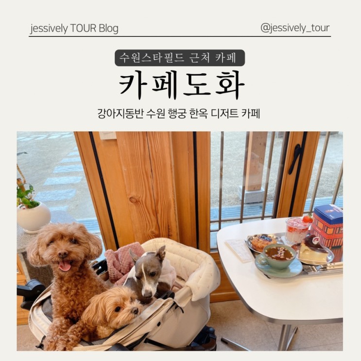 화성 행궁, 수원 스타필드 근처  강아지 동반 한옥 디저트카페 도화