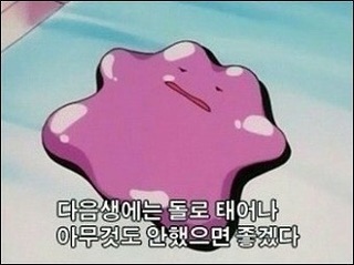 복학 3일차 후기