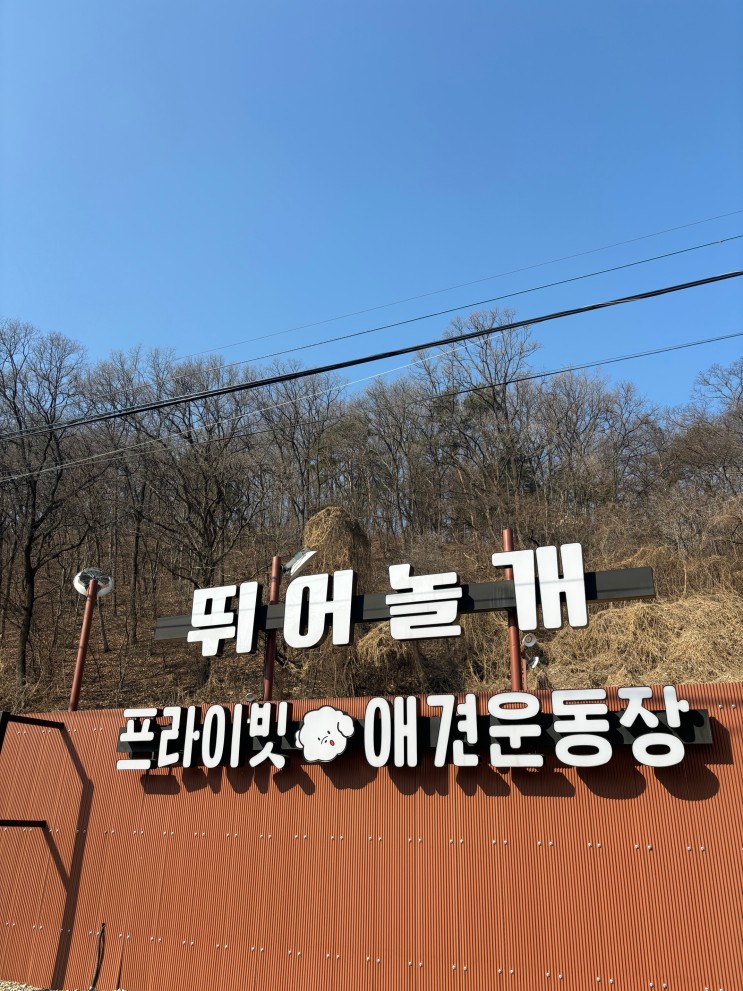 프라이빗 양평애견운동장 [뛰어놀개] 방문 리뷰