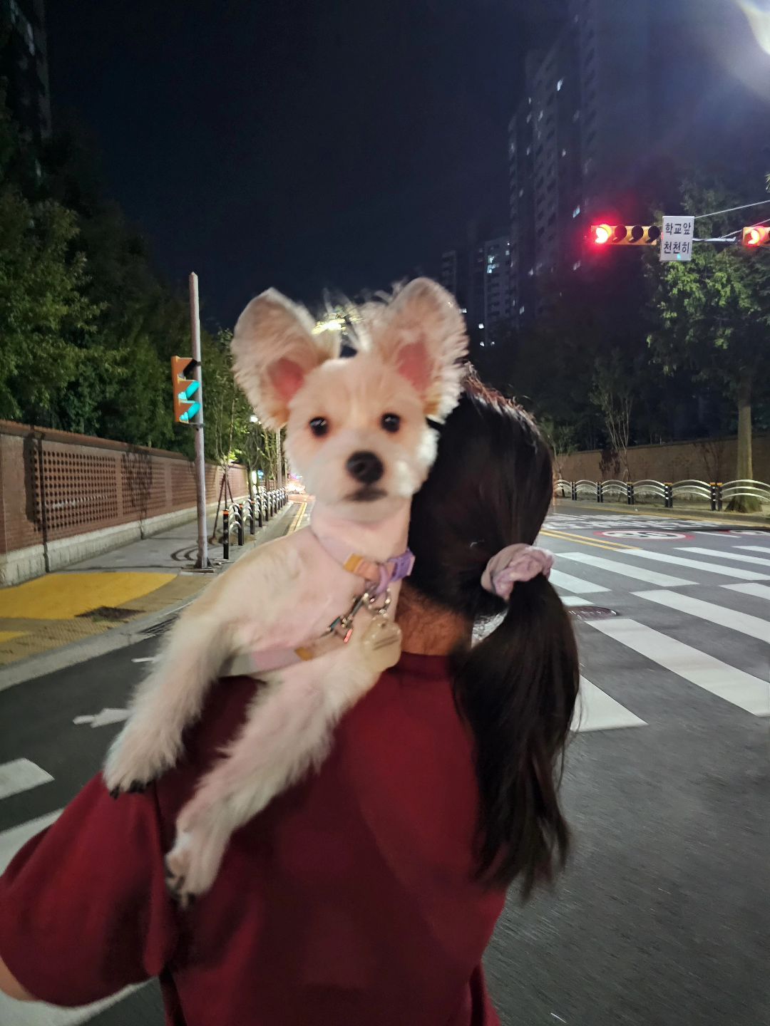 #바라이야기 
밤산책은절거와♡