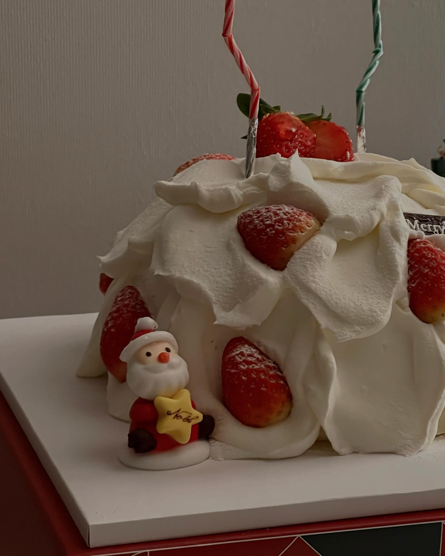 🎂🎁🎄🎅🏻🫎