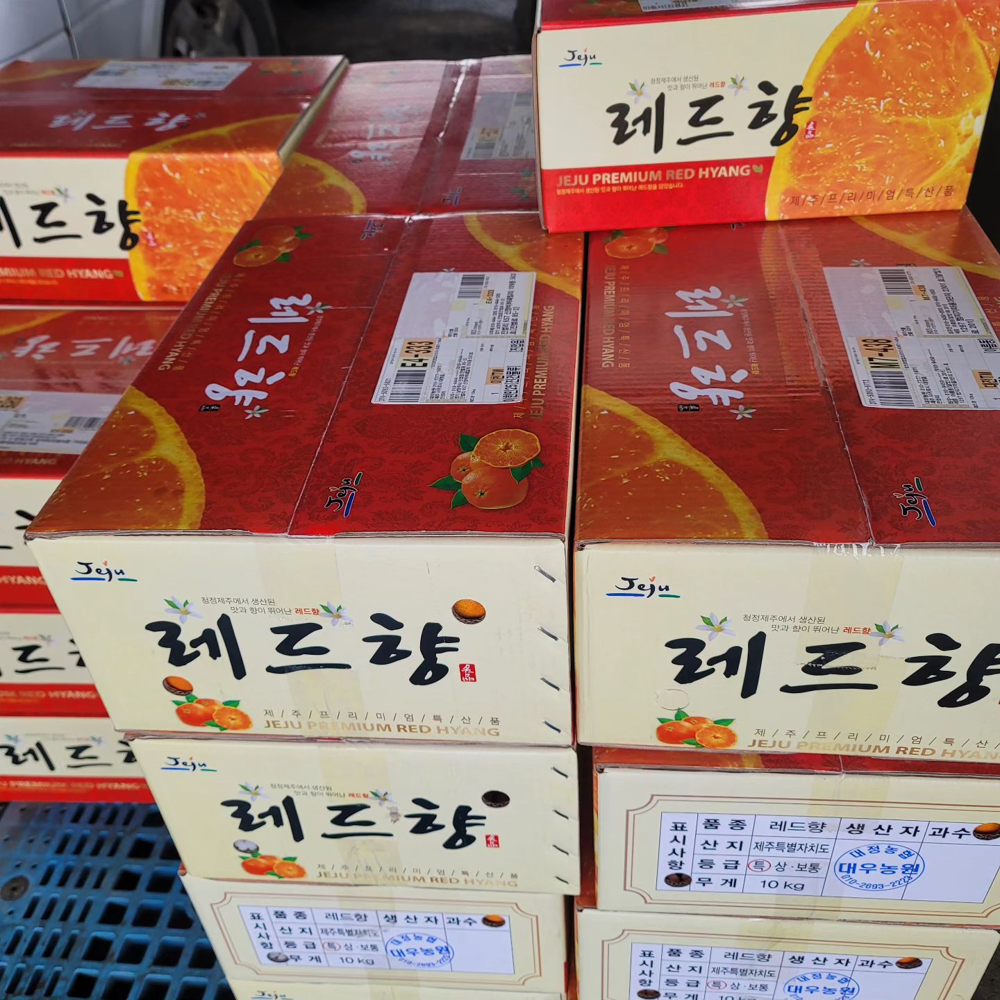 #대우농원레드향 

부모님이 직접 운영하는 대우농원이에요.😁
많은분들의 관심 덕분에 빠르게 주문 마감 했죠.
다시 한번 감사 인사를 전합니다.😍

주문해주신 레드향은 일요일에 모두 택배발송 했고,
월요일~화요일에 도착할 예정입니다.🤭

그럼 모두 즐거운 하루 보내세요.
다음 천혜향 수확때 소식 전해드릴게요~!

#대우농원택배발송 
#대우농원
#제주레드향
