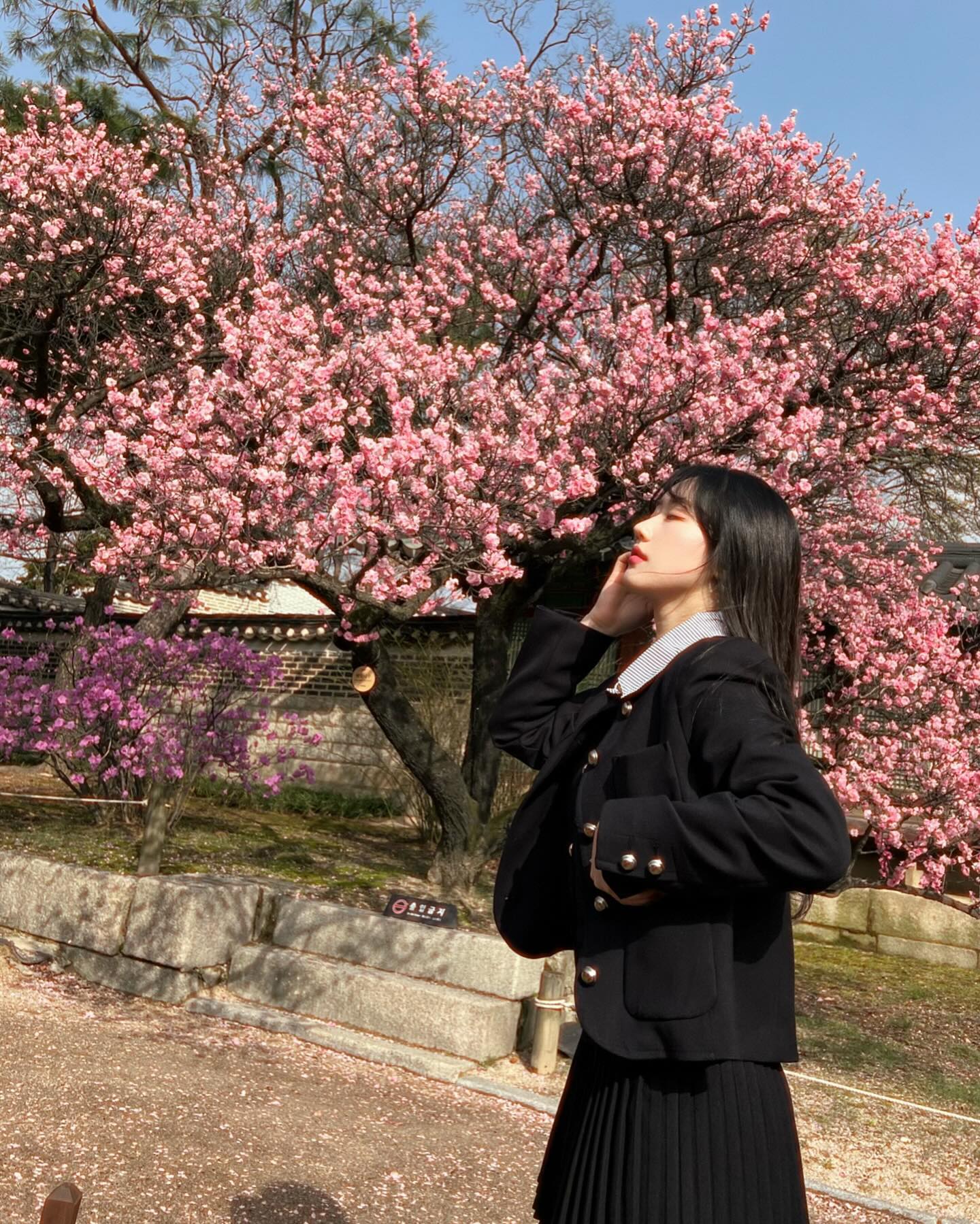 🌸