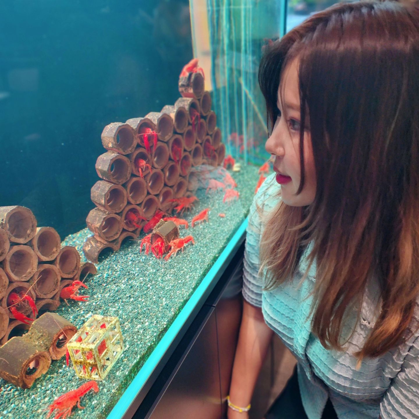 물고기나라🐡 찐빵 토끼🐰

#인스타그램 #셀스타그램 #물고기카페 #토끼