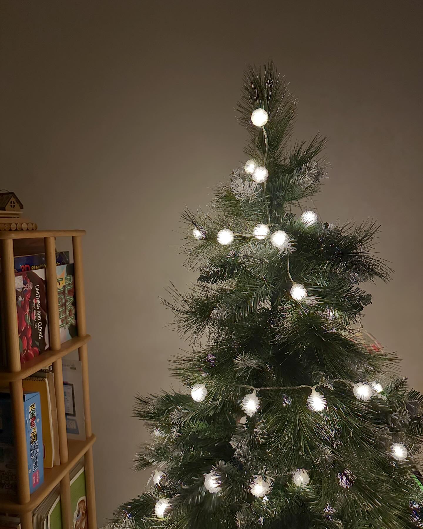 🌲