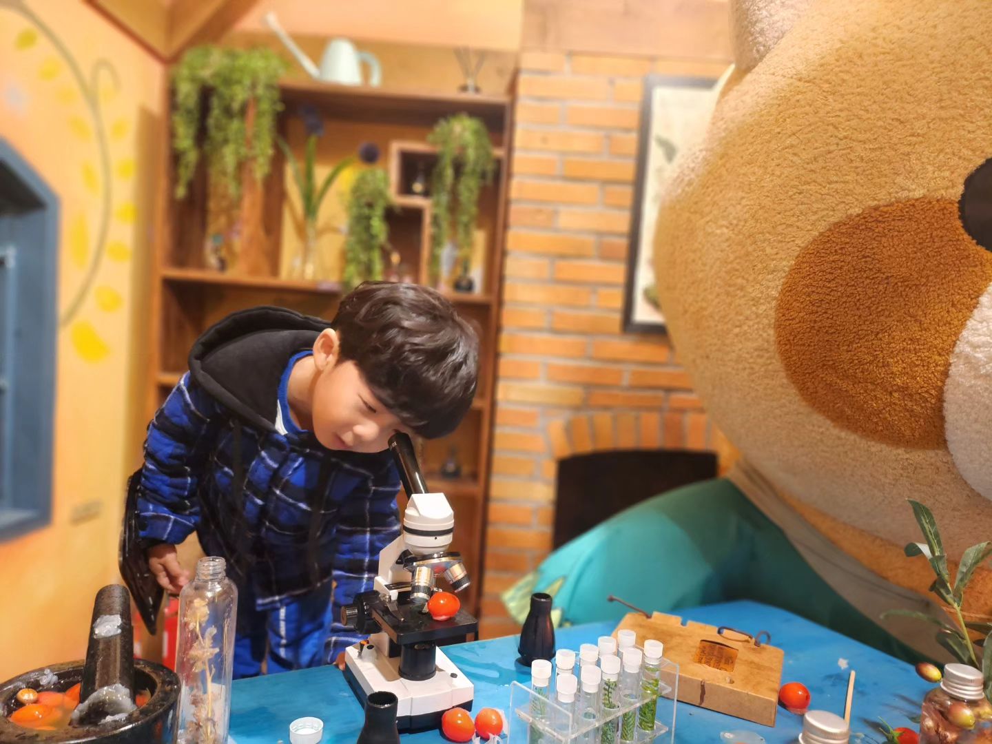 울이쁜 내새꾸들🙂

#애버랜드 #포토존 #레시 #플랜트로어 #플랜트로어연구소 #설정샷
