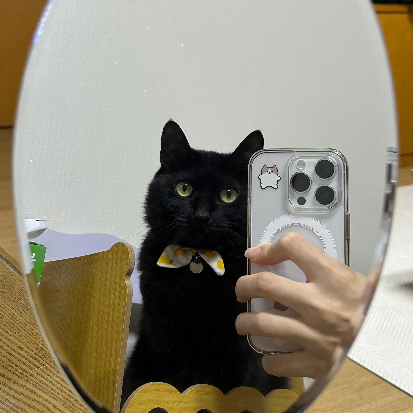 거울셀카 마스터함.