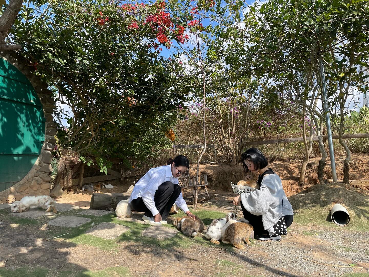 이상한 나라의 앨리스 토끼들👯‍♀️🩷
오기전까지 이런거 왜 예약하냐고 투덜댔는데 
막상 오니 내가 더 좋아하고 있네 ㅎㅎㅎ
동생 덕분에 동화속으로 퐁당🤍

#취향이너무다른자매 #난1일1마사지가젤로죠음🤩 #그치만뭐든다수용가능