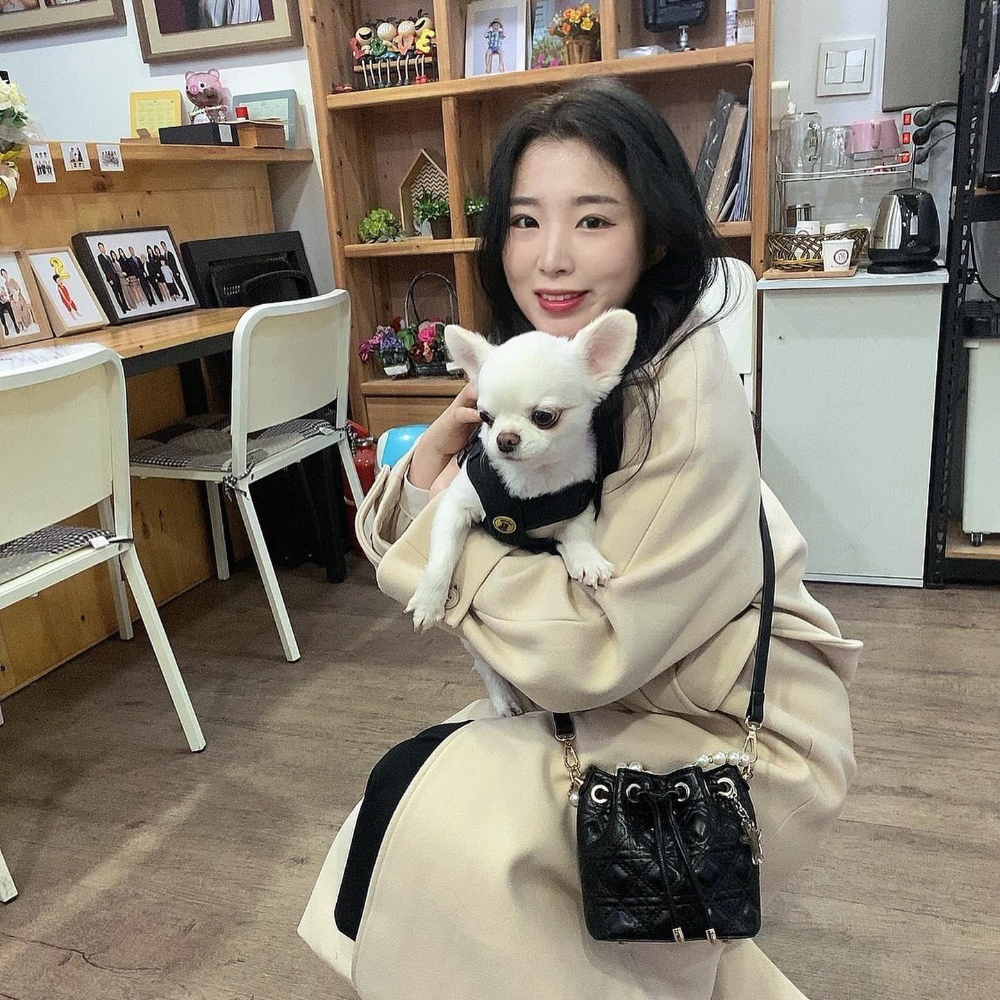 너 내가 납치할까?..🐶