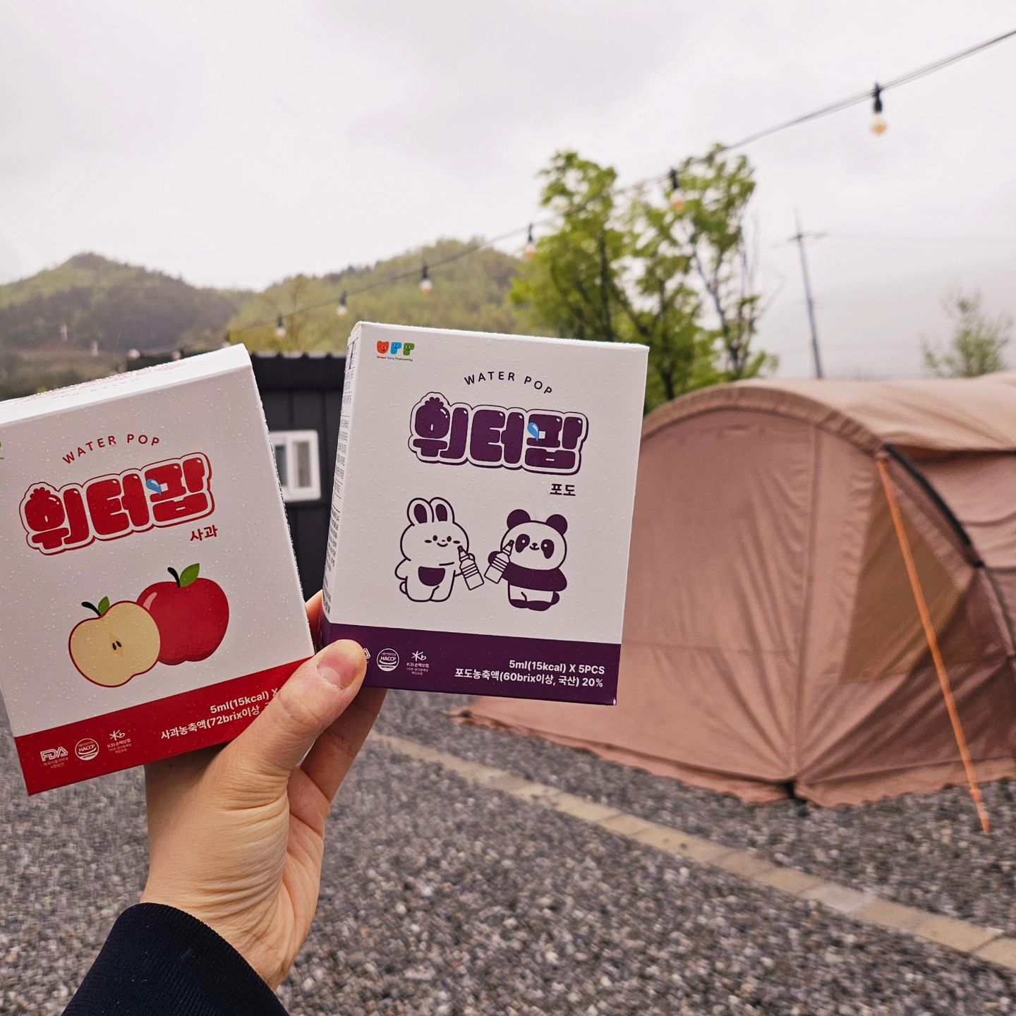 -♡

#제품제공 

캠핑장갈때 들고갔던 #워터팝

나가서 사먹으면  느므느므 비싸서 
배보다 배꼽이 더크잖아요😂

#유티티워터팝 은 생수에 돌려 연결만시키면 끄읕🤩

재미있게 맛있게
설탕없이도 이렇게 맛있기있나요???

100% 과일농축액🩷
설탕/과당 ZERO🧡
필수비타민 7종함유💛

성장기에 꼭 필요한 비타민 워터팝 하나로 해결🥰

#아이간식
#유아간식#어린이음료

#아들맘 #형제맘#11살#8살
#초딩#초딩맘#초4#초1
#육아맘#육아소통 #육아맘환영
#내사랑 #내보물 #워킹맘
#육아일상 #일상 #소통 #좋아요 #맞팔 #인친
#애스타그램 #럽스타그램#젊줌마
#엄마가세상에서제일사랑해아들들❣
