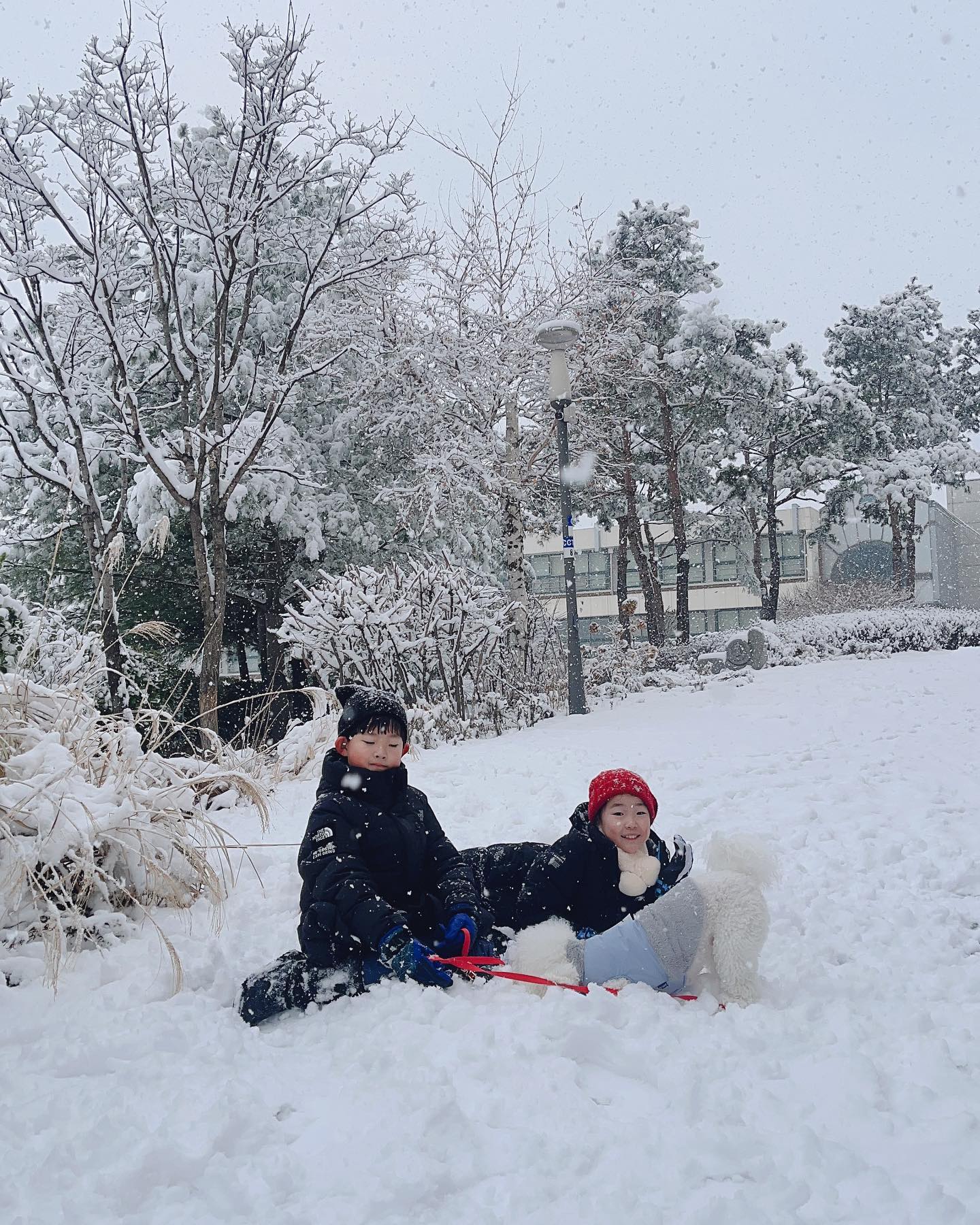 겨울왕국
여기가바로 겨울왕국
로이도 신났다ㅋㅋ
#겨울 #멍스타그램 #겨울왕국