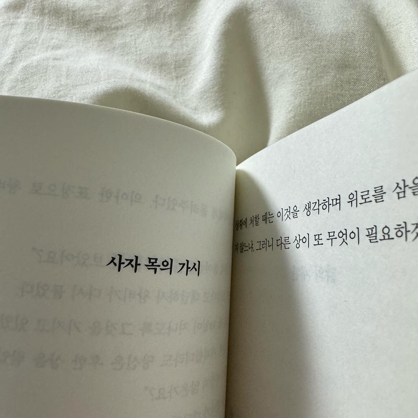 내 취향으로 가득찬 요즘 
운동하고 음악듣고 책읽고 재밌는거보고 공부도하고 👀