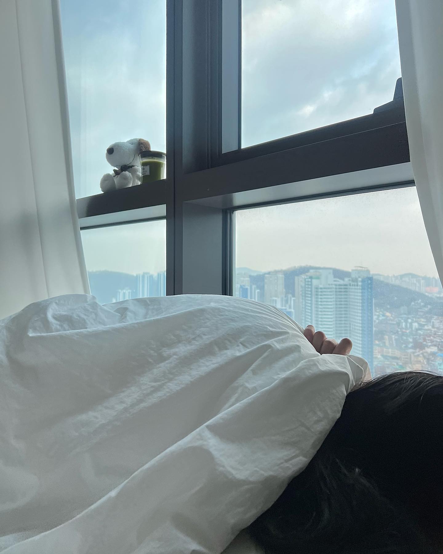 정신없어서 따로 새해 인사를 못 드렸네요🥹
다들 새해 복 많이 받으세요🧧💗 갑진년에는 항상 건강하고 행복하시길 바래용🫶🏻 연휴에 푹~~쉬세🐉!!