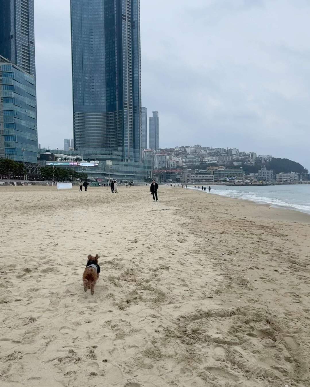Busan, 2