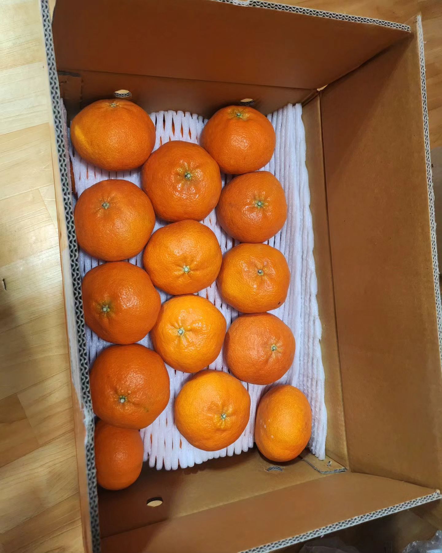 진짜 맛있는 레드향~~
#제라진 효돈감귤
손바닥이 다 가려지는 온식구들이 맛있다고 난리~~

엄청큰데 엄청 맛있어요~~~👍👍👍👍😍😍😍