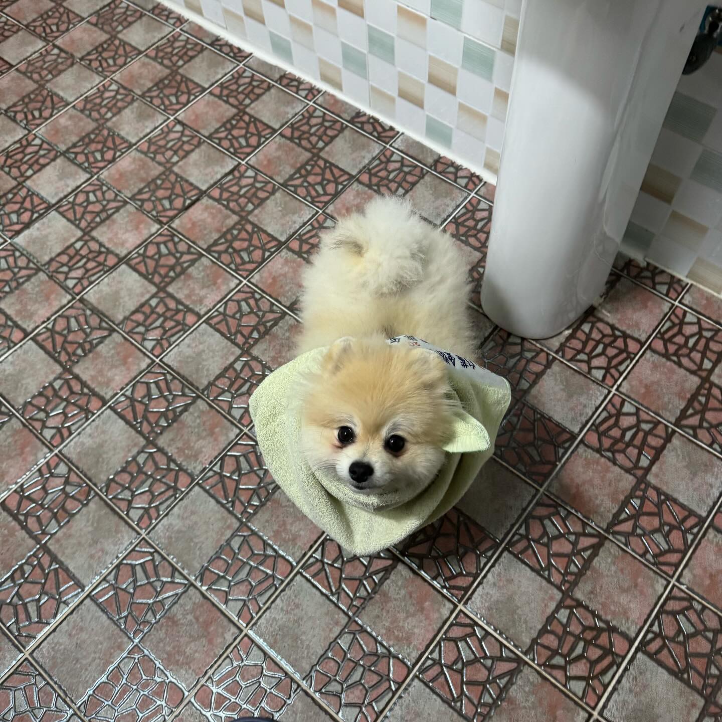 아침에 일어나면 세수 해야지 🫧🫧🧼🧼