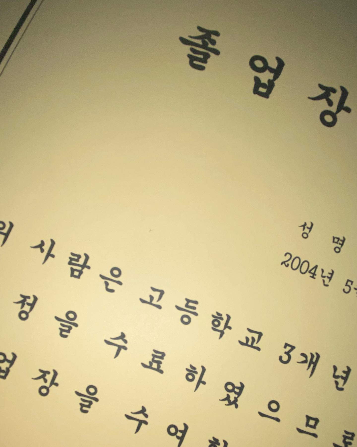 돌업식V