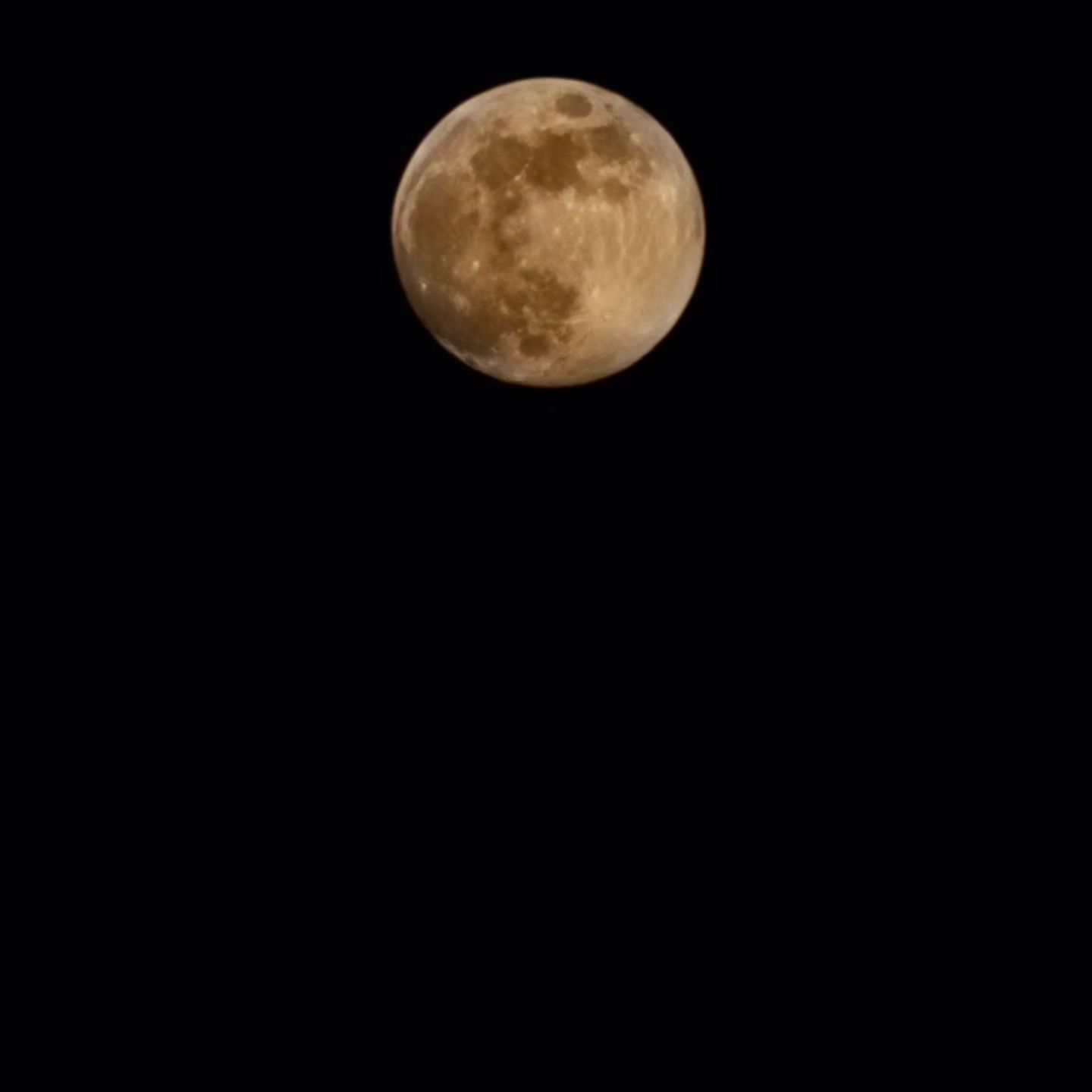 🌕🌕🌕🌕🌕🌕
어스름한 새벽에 출근하고
깜깜한 밤에 퇴근하는 삶🤪
휘영청 달 밝은 밤🌃
#갤S22울트라
.
누가 보면 야근이라도 하는줄🤣
#5시칼퇴
#집에가면6시 
.
#퇴근길#보름달#좋아요#좋아요환영#좋아요추천#좋아요그램#좋아요반사#좋반#맛집#선팔#맞팔#선팔맞팔#먹팔#먹팔해요#먹팔환영#먹팔러#먹팔스타그램#맞팔해요#맞팔환영#맞팔스타그램#맞팔러#맞팔러환영#식탐여왕화들짝