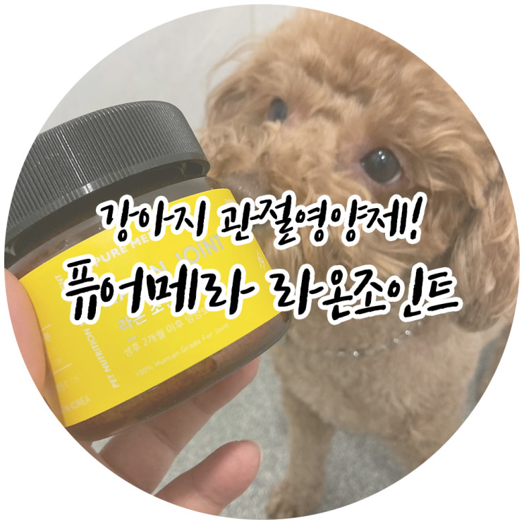 강아지관절영양제 강아지 슬개골탈구 영양제 추천, 퓨어메라 라온 조인트