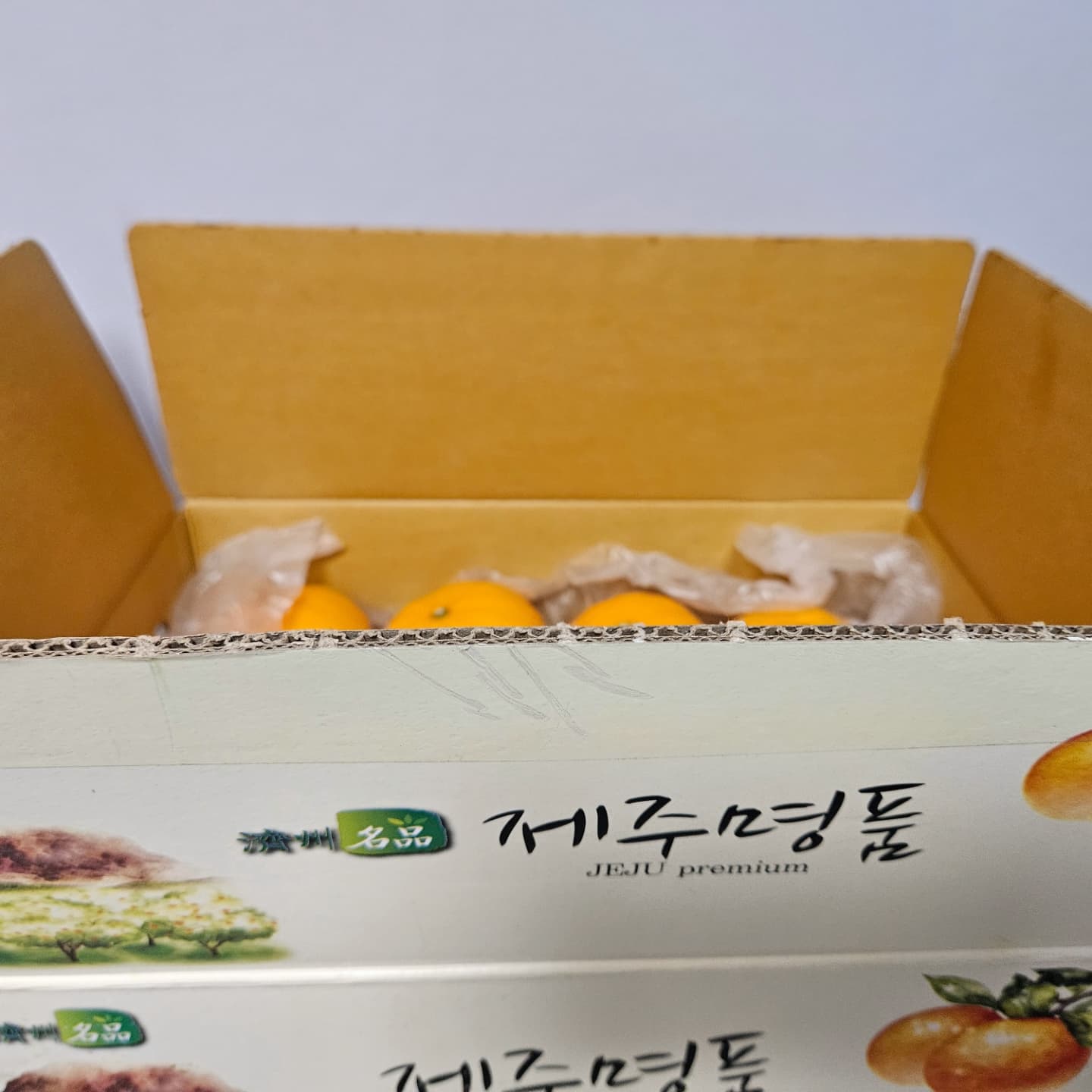 제주 서귀포에서 재배한 고당도 천혜향
속이 꽉 찬 15 brix 이상의 높은 당도 

3대째 이어오는 특별한 노하우를 바탕으로 
품질좋은 천혜향만을 엄선하여 보내주셨어요👍

당일수확, 발송되는 천혜향은 후숙과일로
상온에서 2~3일 보관하면 신맛이 적어져요 
그릭요거트랑 같이 먹으니 달고시고 달고시고
아이 맛나다~😆

-

-

#제주과일 #제주도 #천혜향 #제주천혜향
#고당도과일 #고당도천혜향 #산지직송과일