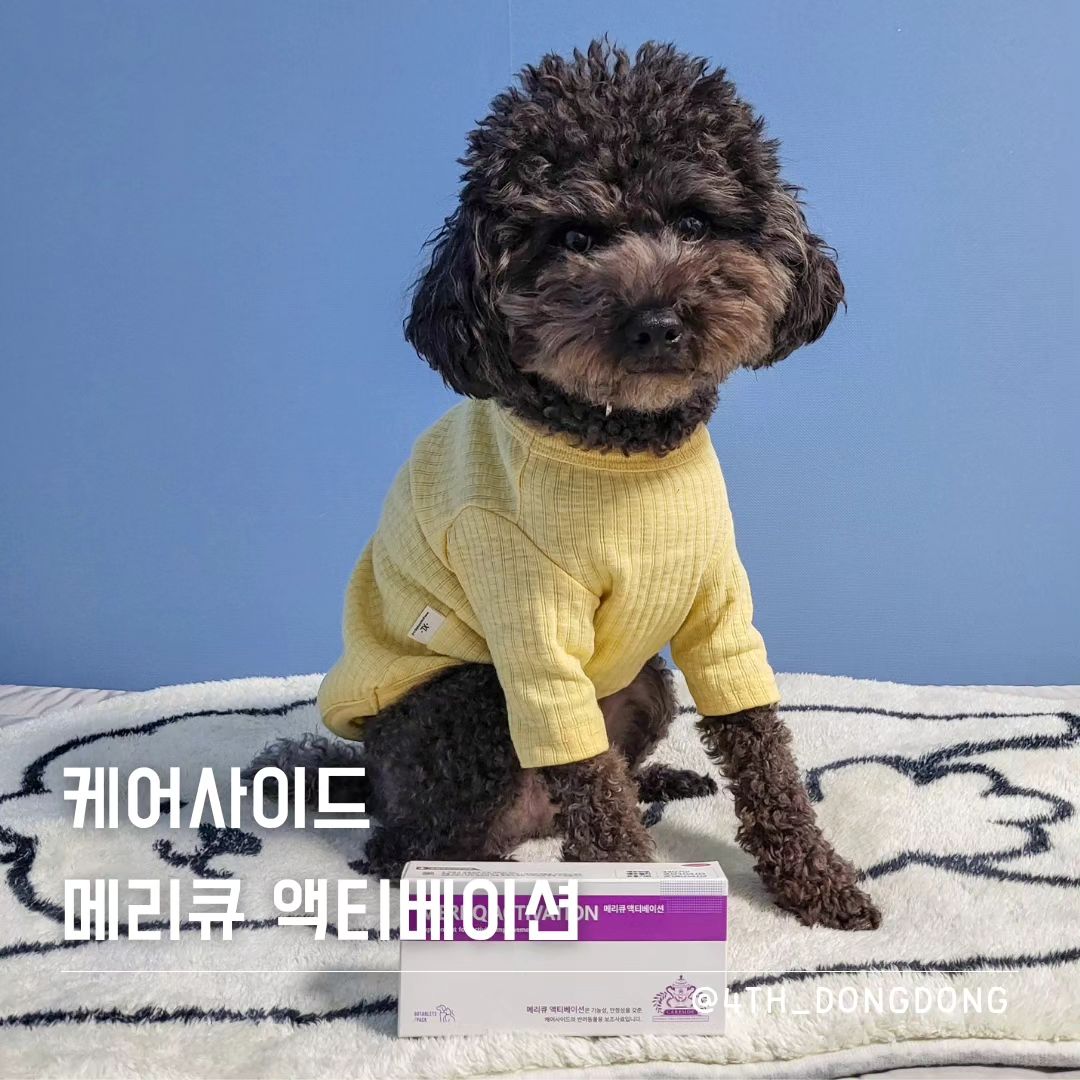 #협찬 #케어사이드 careside_official

❗️주의❗️
수의사에게만 납품하는 영양제로,
정품 구매를 위해 동물병원에서 구입하시기 바랍니다.
(강아지, 고양이 겸용 사용 가능)

대한민국 대표 동물용 의약품 전문회사 [케어사이드]
요즘 부쩍 잠만 자고 활동이 줄어든 나 이동동이가 😅
활동성 강화 영양 보조제 [메리큐 액티베이션]을 먹어보아띠!

🔸️수의사 납품 전용 영양제
시중에서 파는 영양제가 아니라,
수의사를 통해서 구입 가능한 영양 보조제라 효과가 더 믿음직! 😆
성분표도 일반 의약품 같이 꼼꼼하게 적혀져 있어 믿음직 +100

🔸️강력한 항산화 기능
일주일 간 급여해보니 확실히 몸이 짱짱하드라 😍
몸이 젊어지니(?) 마음도 young~ 해지는 거 있지 🤗
(단점 : 하루 1시간 이상 산책 필수, 안그러면 집 부숴요..)

🔸️혈액, 대사 기능 강화
혈액순환과 대사순환 개선에도 좋은 제품이라
타 영양제 급여할 필요 없이, 이 한알로 건강보조도 가능해~ 😉

#강아지영양제추천 #강아지영양제 #강아지항산화제 #강아지항산화영양제 #노견영양제 #노령견영양제 #애견영양제 #강아지치매예방 #고양이영양제 #고양이영양제추천 #고양이필수영양제 #고양이항산화제 #고양이타우린 #고양이치매예방 #강아지보조제