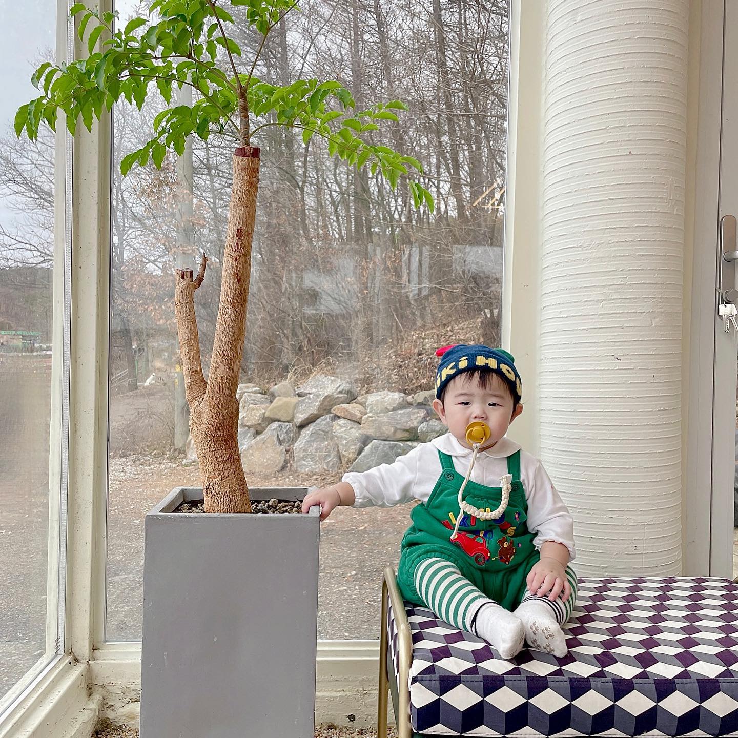 👶🏻D+322 #일상 

나희이몽이(wb._.wc ) 보러 용인 갔다 왔는데
친해진 거 같으면 울고 
이제 괜찮나 싶으면 울고 ㅋㅋㅋㅋㅋㅋ
집 갈 땐 안 울겠지 했는데
마지막까지 차 안에서 운 울보..🌚
너.. 진짜 만나는 이몽이들 볼 때마다 울어서
울본거 다 소문나게땈ㅋㅋㅋㅋㅋ🤍

#막내 #막둥이 #셋째 #울보 #뚱범이