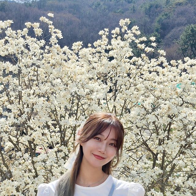  별희 🎀 모델 | 패션 | 뷰티 | 광고모델 | 네이버인플루언서 on Instagram: "#제품협찬

목련이랑 너무 잘 어울리는 원피스 입구,, 목련 보고 왔오요🤍

🔸️숄더 퍼프 디자인으로 로맨틱한 무드가 돋보이는
볼륨감 있는 리본 자수 원피스예요 ᧔o᧓ ٩(❛ัᴗ❛ั ๑)

🔸️소매와 허리 셔링으로 입으면 러블리함이 가득 느껴지고
아방한 라인이라 체형보정 효과로 더욱 여리여리해 보이는 핏-!

🔸️미니백으로 러블리함 UP, 리본핀으로 여성스러움 더해준 코디✨️

요렇게 입구,, 꽃 구경 가는 거 오때요🫠🧡

✅️ 벨로엘 : 리본 자수 원피스_아이보리

@bellol_official #벨로엘 #bellol #봄원피스 #미니원피스"