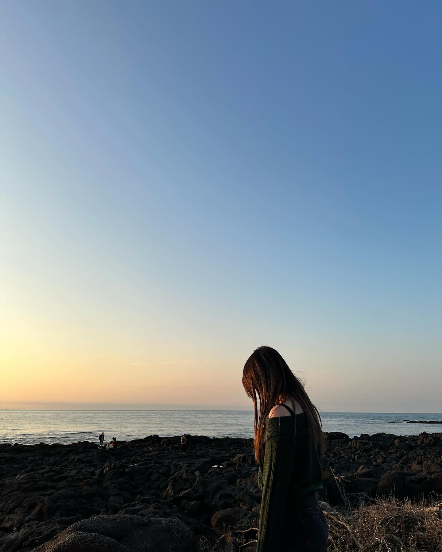 콘텐츠