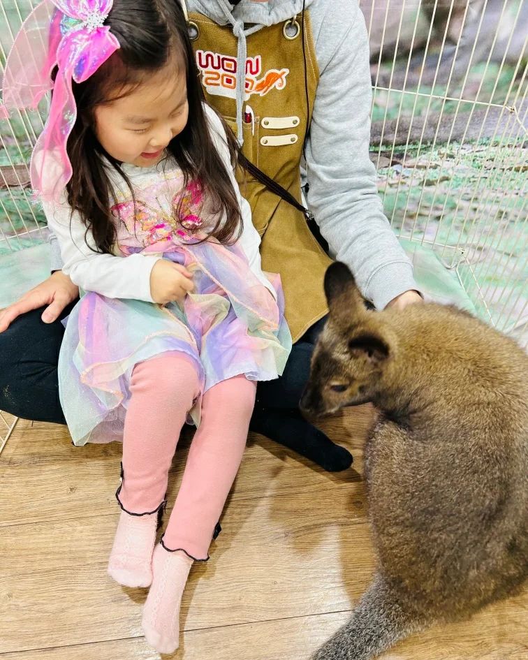 ㆍ
엄마도 왈라비 보고싶어~ ㅋㅋㅋ
직접 보고 만져도 보고 😆
 
 
 
#동물친구들 #왈라비 #와우쥬