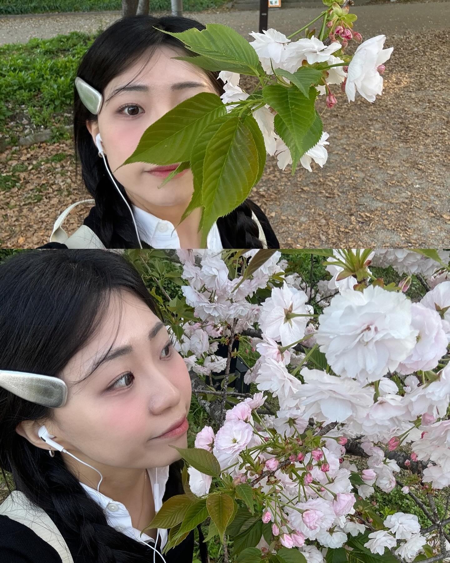 1. 찍다가 벌 있어서 화들짝 놀라서 어우오우 뒷걸음질 치기 2초전
2. 오호리 파크 화장실 오후 5시36분쯤 햇빛
3. 비 온 뒤라 벚꽃 다 떨어진줄 알았지만 사쿠라는 강했다
4. 사실 뱅기 타러 가기 1시간 전이지만 세상 여유 부리고 멍때리기
5. 말차 싫어 인간이었는데 찐 말차 맛을 알아버렸다 500엔 오이시 ~
6. 제목 : 삔을 어디에 꽂을까 (꽂아놓고 말하는중)
7. 양말 거꾸로 신은거 저때 알았음
8. 머리숱 자랑
9. 옆에 일본인 커플 보다 많이먹음 (나 계속 쳐다보더라)
10. 혼또니 카와이 아가들 근데 .. 뭘 뿌린거야 ?