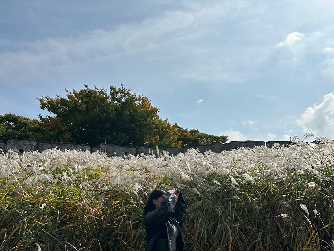 🍂🌾🍂🌾