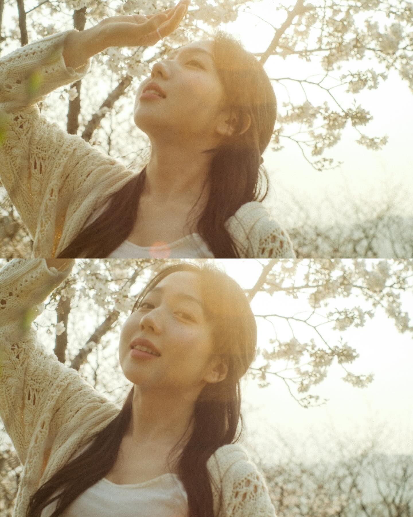 봄 사랑 벚꽃🌸