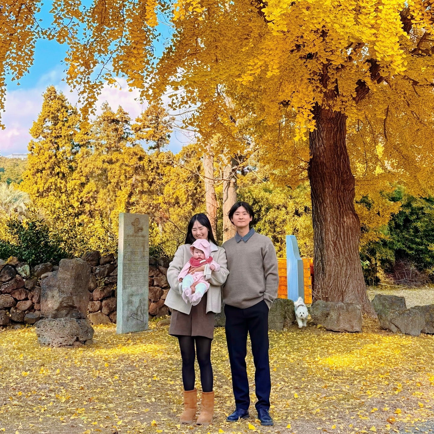 🍁

제주 와서 4번째 겨울 ☃️
제주에서 은행나무랑 사진 찍기는 처음인데
처음을 우리 가족이랑 함께여서 너무 뜻깊자나...💛✨

아무도 없어서 포포는 운동장 온 듯 계속 뛰어다니고
편하게 사진찍ㄱㅣ 늠 조아ㄸ ㅏ 💛

#제주부부 #제주가족 #개족사진