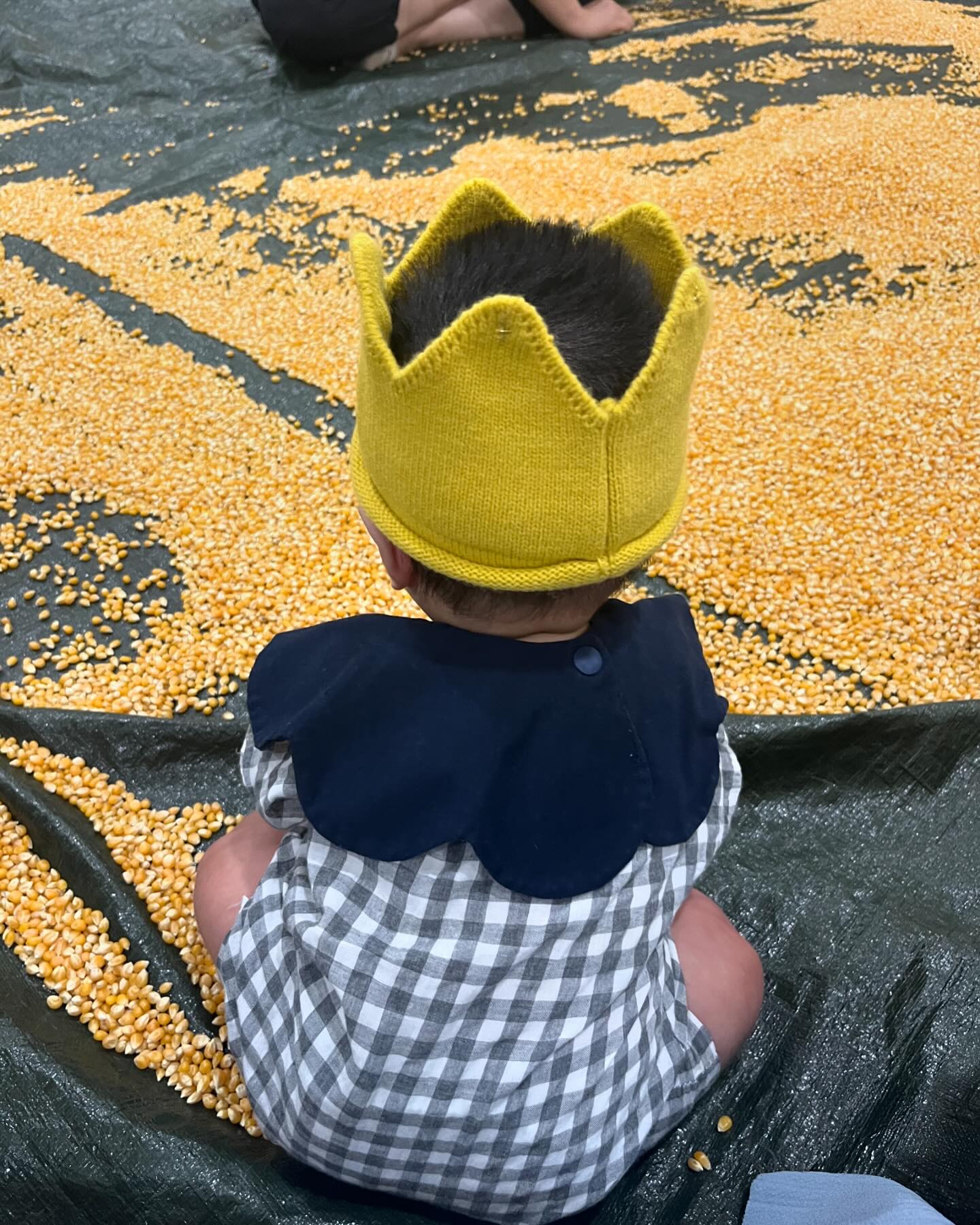 D+166

인생 첫 문센
옥수수 촉감놀이 하라니까 주변 구경하느라
바빴던 로우니 🌽🌽

6월부터 더 열심히 다녀보쟈🫶🏻

#5개월문센시작
#옥수수촉감놀이🌽 
#팝콘먹어본날