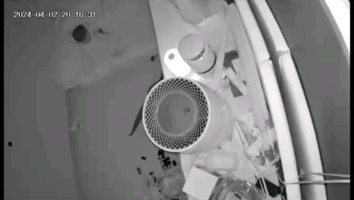 따민이는 태어나자마자 분리수면 아기.
처음에는 너무 작아서 잠을 시계방향으로 자는
애미한테 치일까봐 따로 재우던게
이렇게 옴.. ㅋ 분리수면을 딱히 뭔가 한게
아니고 그냥 처음부터 자연스럽게 하게됐음.

이앓이할때, 재접근시기? 그럴때 분리수면은
깨진다고 다들 입에 침이 마르도록 얘기함.
마치 너 분리수면 반드시 깨질거다. 라는 식
아닌데? 아닌데? 안깨졌는데? ㅎㅎ

그리고 31개월인 지금도 8시반에서 9시엔 쿨쿨
다음날 8시에 기상. 푹 자서 그런지
어린이집 등원할때 컨디션이 최고조임.

같이 방에 들어가서 십분정도 놀다가
태미니 잘자~ 하면 잘자- 해주고
사랑해~ 하면 하트 해주고 빠빠 해줌.
그럼 문닫고 나오면 육퇴.

물론 아기가 아프거나 하면 자다가 보챔.
그럴땐 가서 안아주고 토닥이다 다시 나옴.

분리수면 성공? 실패? 많이들 얘기하지만
음..내가 보기엔 애 기질이 가장 중요해 보임.

T집안에 T가 태어났을뿐..

오늘은 하원부터 피곤해 보여서 8시부터 
방에 들여보냄.. 잘자 공룡꿈꿔~

#김태민 #분리수면 #저녁8시에 #자는아기 #잘자 #아프지마 #내사랑 #사랑해