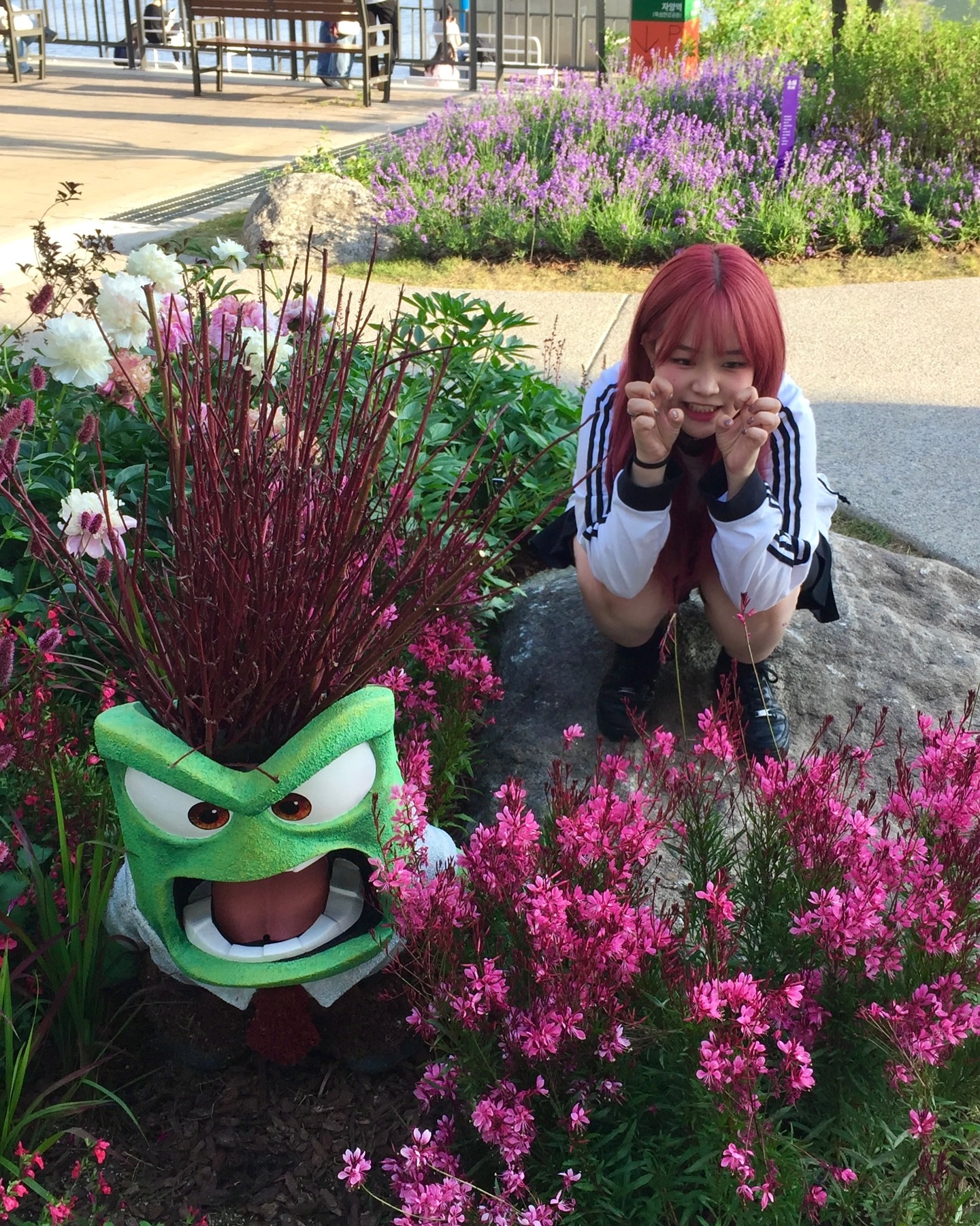 😡😢🥺🌺
