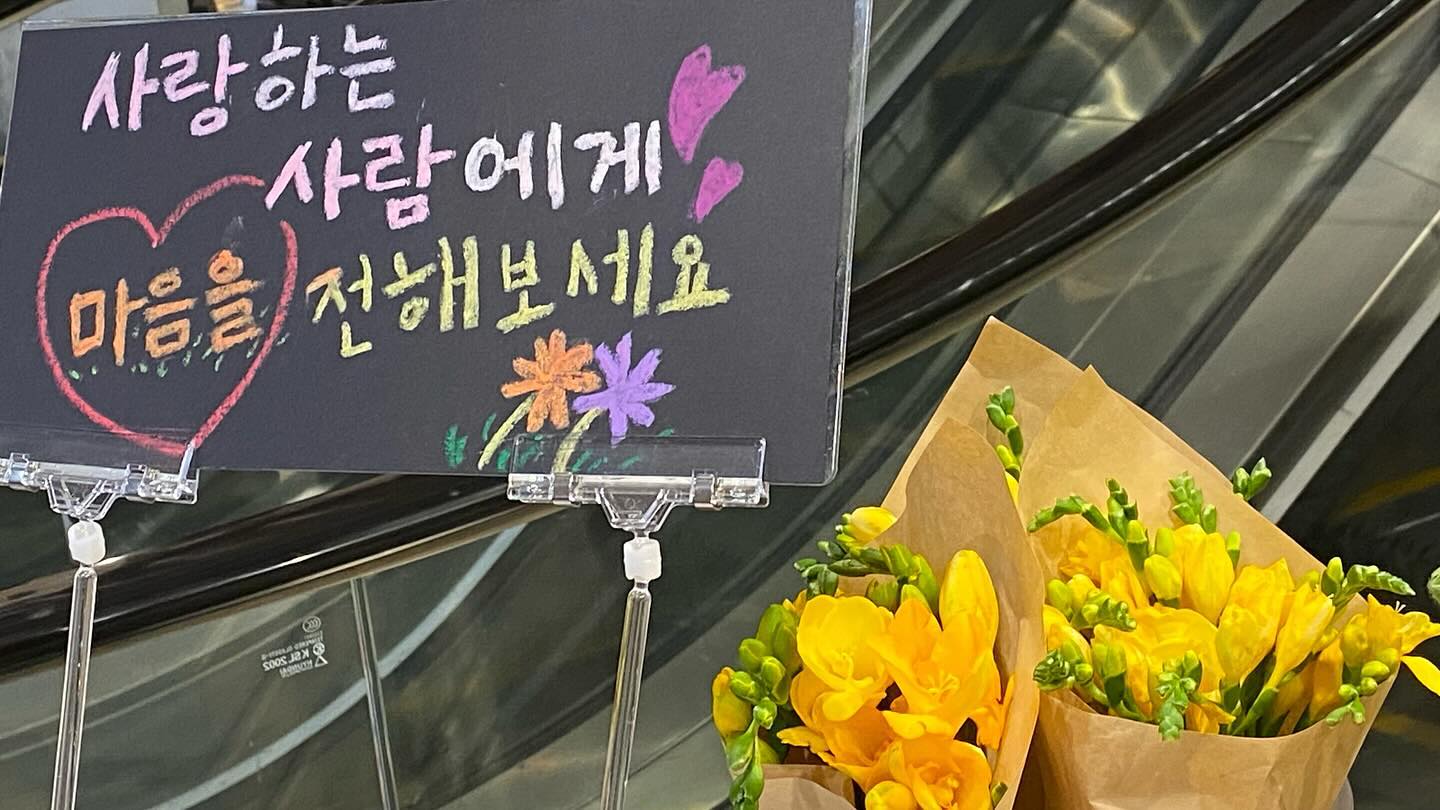프리지아