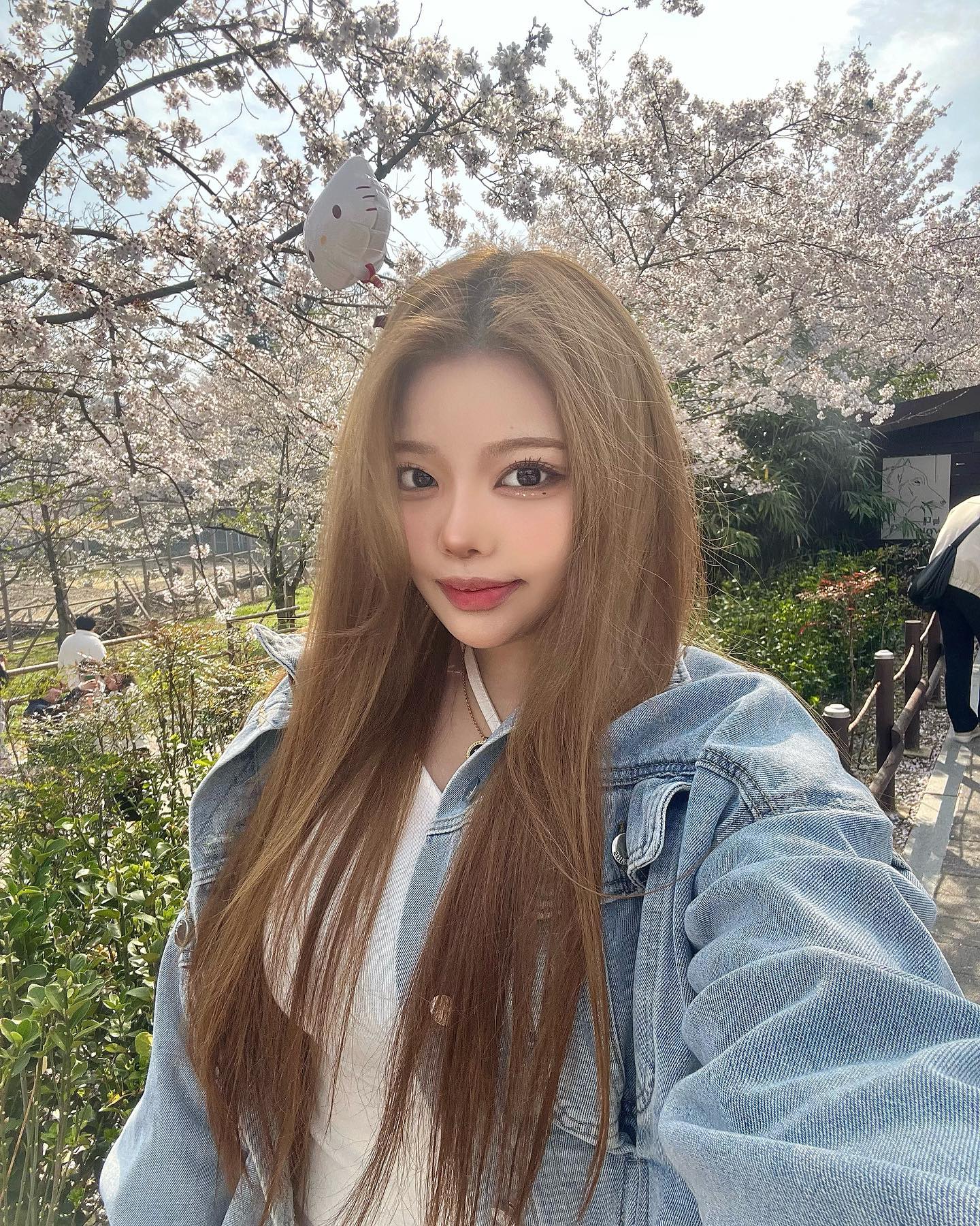 벚꽃ㅊ 나도 봤다 🤧🌸