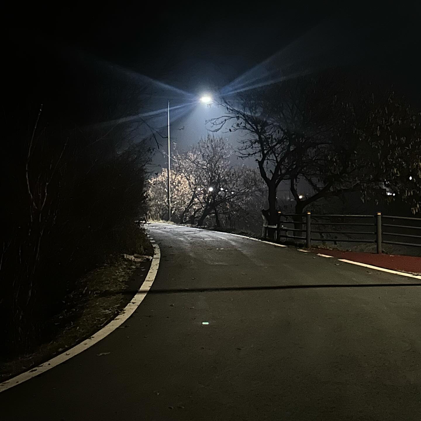 #시골길 #밤산책 #밤길